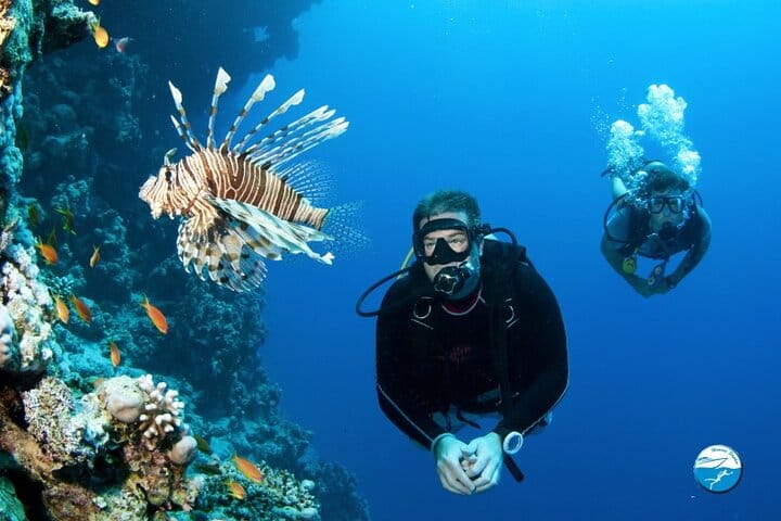 Scuba Diving Sea Trip with Lunch and Transfer from Hurghada