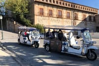 Private Tour in Tuk-Tuk through La Granada de los Reyes Católicos 1