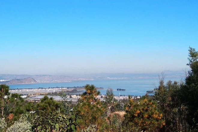 Private Day Tour in Kunming: Flower and Birds Market, Dianchi, Green Lake etc. 5