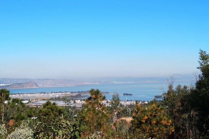 Private Day Tour in Kunming: Flower and Birds Market, Dianchi, Green Lake etc. 5