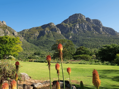 Spectacular Table Mountain and Kirstenbosch Gardens. Cape Town. Guided
