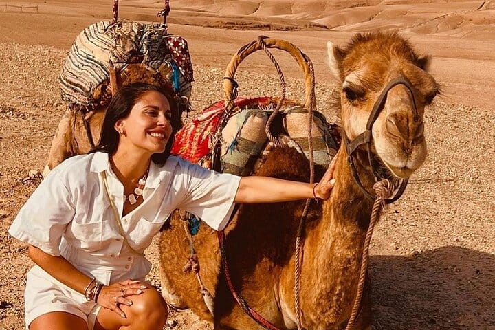 Desert Agafay Camel Ride with Dinner and Sunset