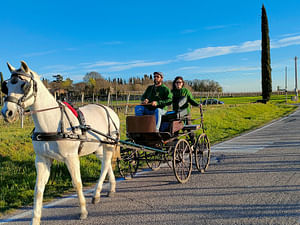 Horse Carriage Tour and tasting of local food in Lazise