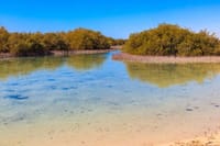 Private Half Day Tour By Minibus To Ras Mohammed National Park  9