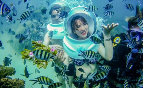 Nha Trang Bay Sea Walk Adventure with Traditional Seafood Lunch