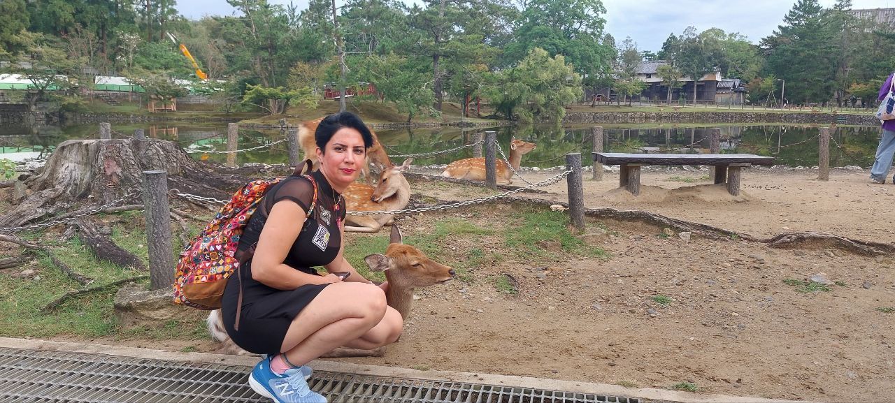 nara city japan tour