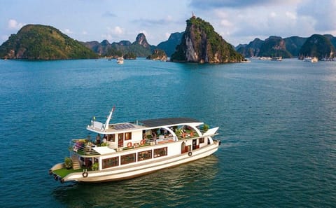 Full-Day Halong Bay Islands and Cave Tour by Transfer Expressway