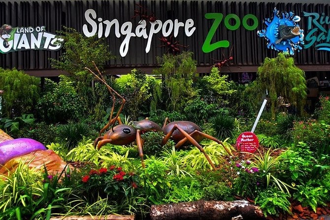 Singapore Zoo with Breakfast and Orangutans product photo