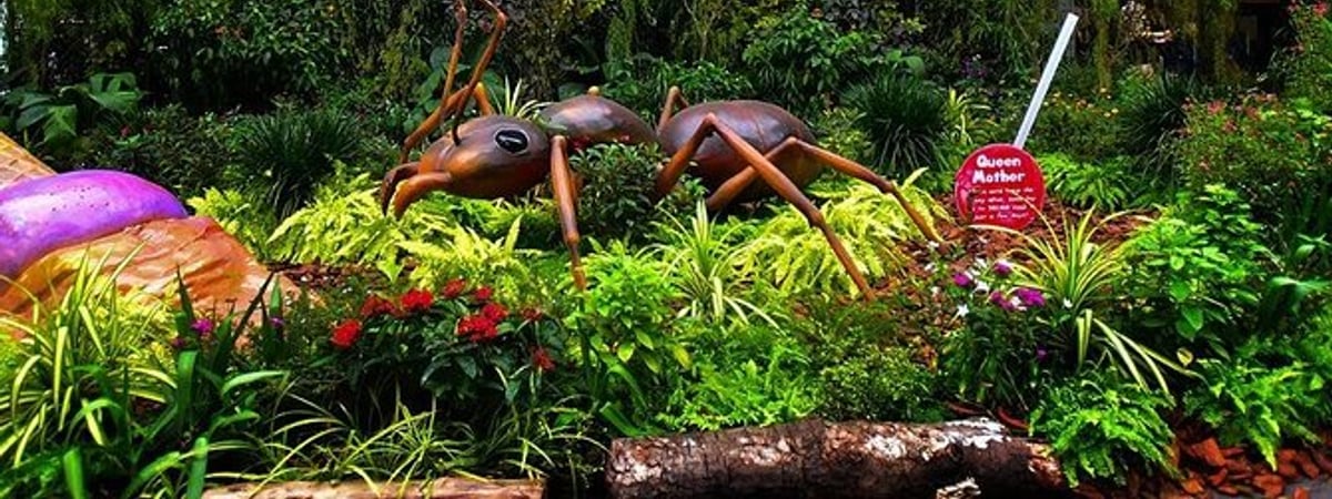Singapore Zoo with Breakfast and Orangutans product photo