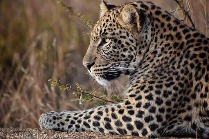 15 minutes scenic helicopter flight above Victoria Falls-Zimbabwe