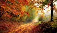 Denmark Nature — Custom Route (Private Experience) 7