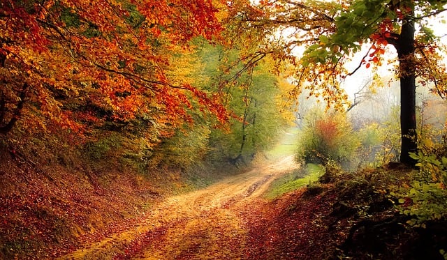 Denmark Nature — Custom Route (Private Experience) 7