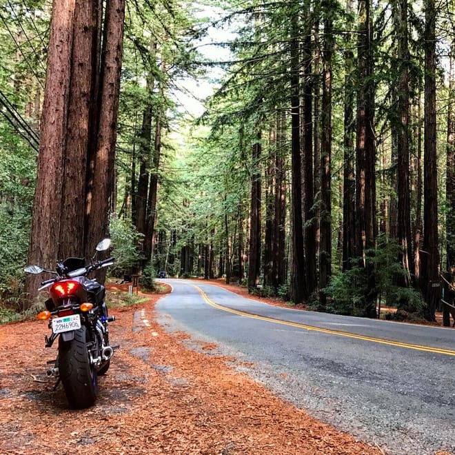A motorcycle stop under the California redwood trees, during a Native Moto Adventure tour
