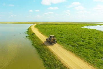 Diani Beach to Amboseli National Park 2-Day Safari Tour