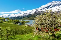 Private guided tour - Hardangerfjord, Voss Gondola & 4 Great Waterfalls 3