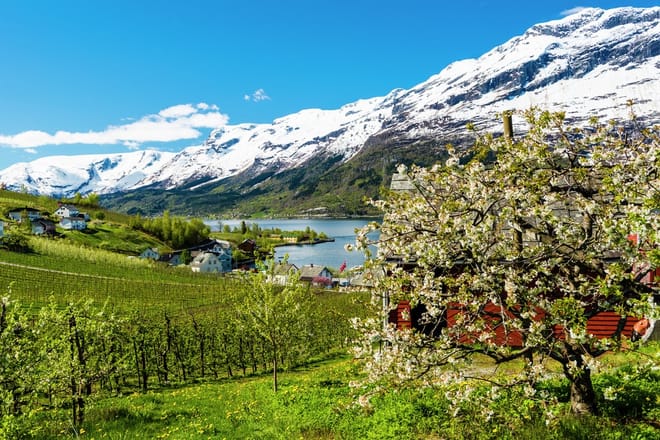 Private guided tour - Hardangerfjord, Voss Gondola & 4 Great Waterfalls 3