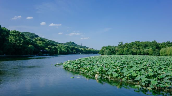 All-Inclusive Private Day Tour to Lotus Hill and Shawan Old Town from Guangzhou 3