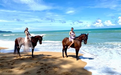 Horseback Riding Experience at Kamala Beach, Phuket