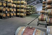 Wine Cellar at Fairview Wine Estate