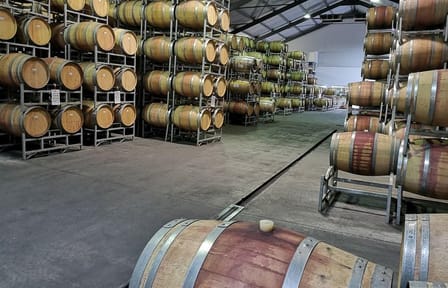 Cape Winelands Tour: Stellenbosch, Franschhoek, and Paarl from Cape Town