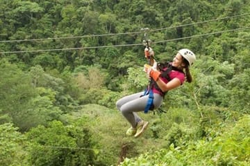 Zipline Adventure and Dunn's River Falls Tour from Montego Bay