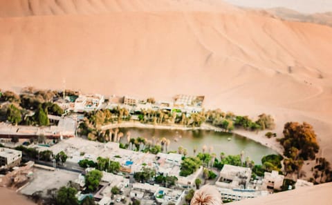 Coastal Adventure Tour: Ballestas, Huacachina & Nazca Lines