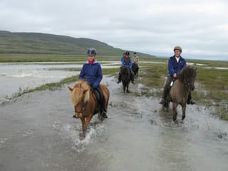 River Delta, photo 6