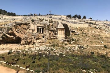 Overnight Adventure Tour to Jerusalem and Ein Gedi