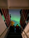 Reykjavík Whales & Northern Lights 1