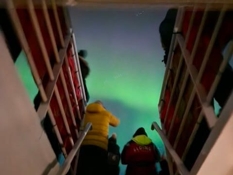 Reykjavík Whales & Northern Lights, photo 2