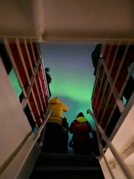 Reykjavík Whales & Northern Lights