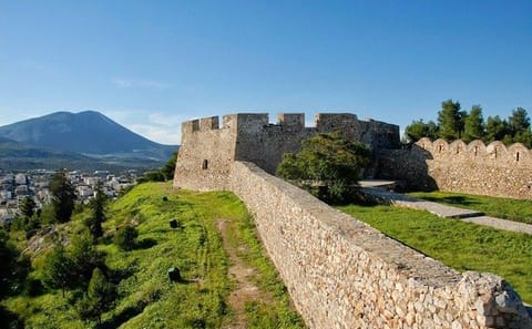 Private Thebes and Chalkida Island Tour from Athens