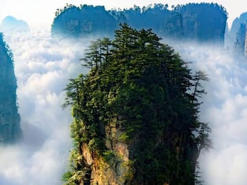 1 “Pandora” Day Trip-Zhangjiajie National Park(Avatar Mountain Scenery)