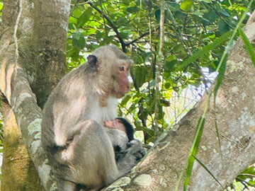 U Minh Thuong National Park Nature and Wildlife Tour