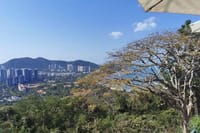 Private Day Tour in Sanya: Nanshan Cultural Tourism Zone and Luhuitou 7