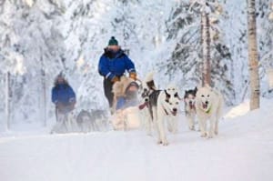 Aurora winter holiday Lapland Inari Finland 7 days