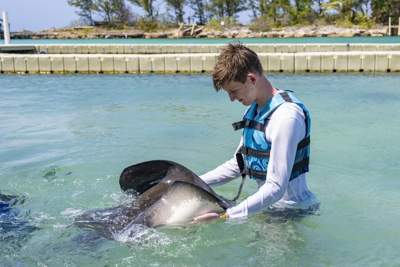 Dolphin Royal Swim at Montego Bay 8