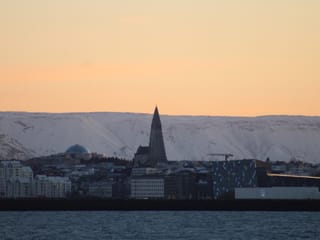 Reykjavík Whales & Northern Lights, photo 20