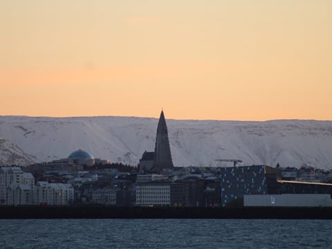Reykjavík Whales & Northern Lights, photo 20