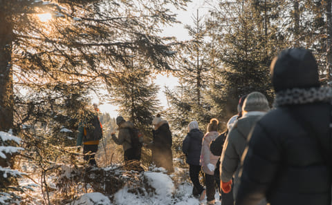 Winter Hiking Tour of the Oslofjord in Norway