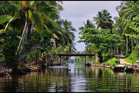 Private Boat Tour of Negombo’s Scenic Lagoons and Wetlands