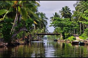 Private Tour: Negombo and Surrounding Area Attractions by Boat