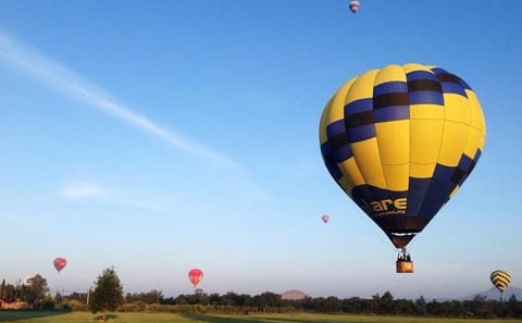 Full-Day Teotihuacan Hot Air Balloon Tour from Mexico City Including Transport