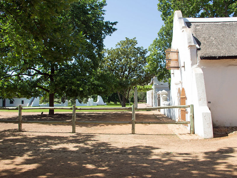 Cape Winelands with Fairview Wine Estate & Babylonstoren Wine Farm Experience. From Cape Town. Guided