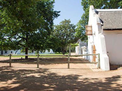 Cape Winelands with Fairview Wine Estate & Babylonstoren Wine Farm Experience. From Cape Town. Guided