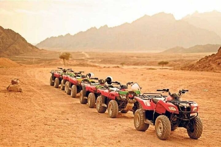 Marsa Alam Desert Adventure: Jeep, Quad, and Camel with Dinner