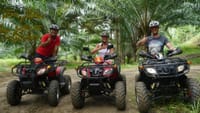 Amazing Quad Bike ATV Tour - 2 hour 1