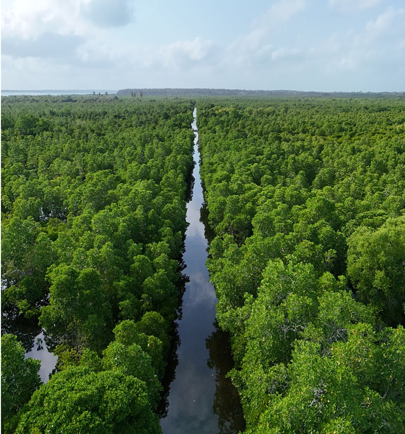 7 day island adventure and nature retreat 3