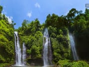 Private Sekumpul Waterfall Hiking Tour 1