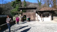 Skip the Line: Tour in Open Air Ethnographic Museum ETAR + ticket 1